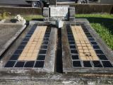 image of grave number 499824